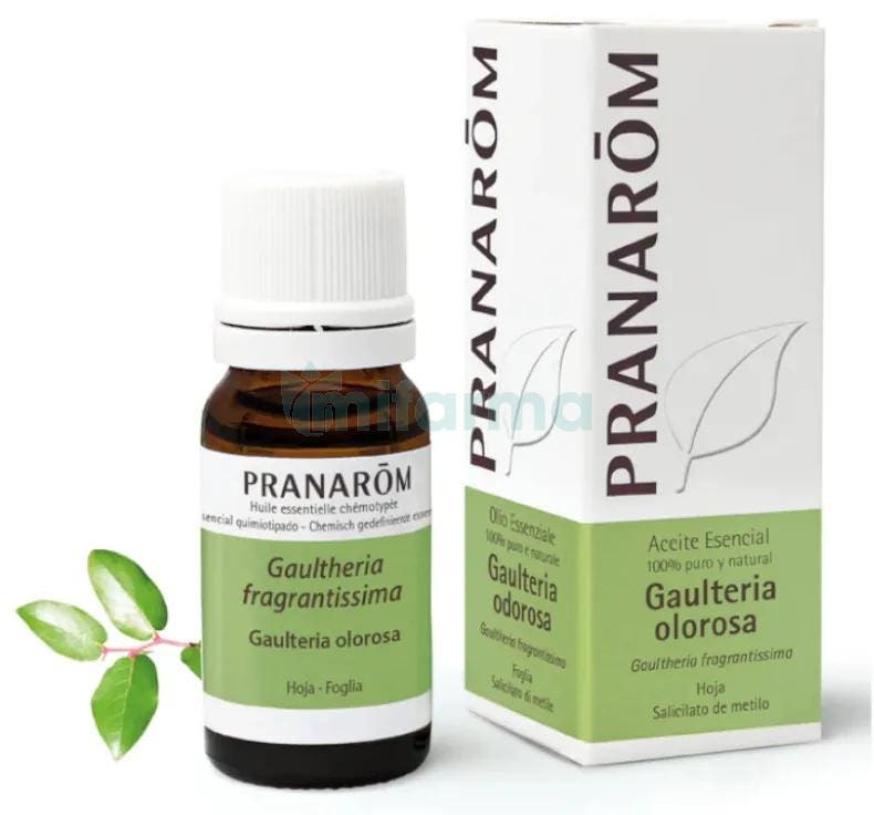 Aceite Esencial Gaulteria Olorosa BIO Pranarom 10 ml.