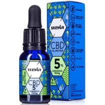 Syzygy Food Autentico CBD Oil 5 Full Spectrum 15 ml