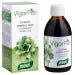 Santiveri Jarabe Vigor Pec 240 ml