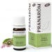 Pranarom Aceite Esencial Salvia Romana Bio 5 ml